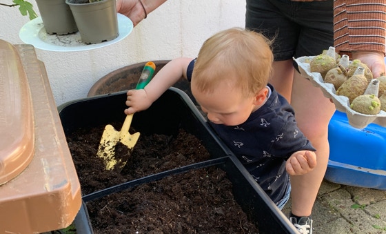 Kind pflanzt Kartoffeln