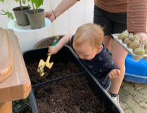 Kind pflanzt Kartoffeln